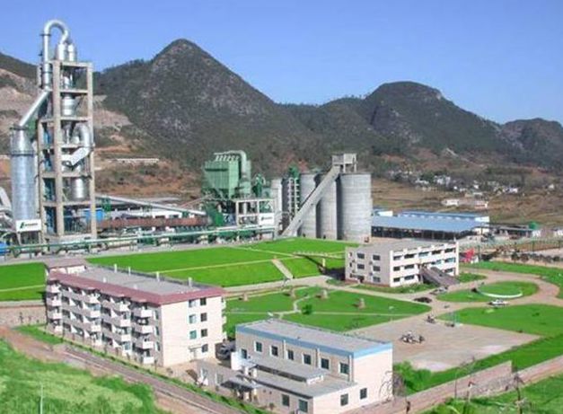 貴州省頂效開(kāi)發(fā)區(qū)**有限公司案例