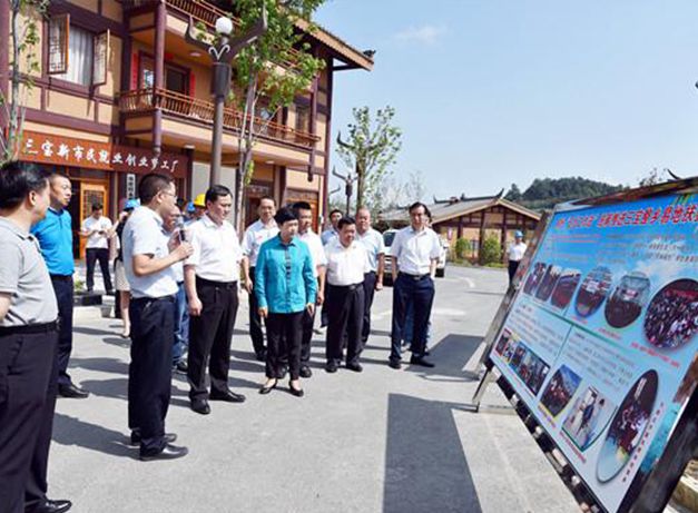 晴隆縣雞場(chǎng)鎮(zhèn)、三寶彝族政府案例