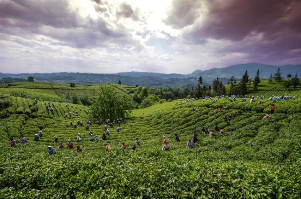 貴州普安農(nóng)村商業(yè)銀行股份有限公司